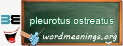 WordMeaning blackboard for pleurotus ostreatus